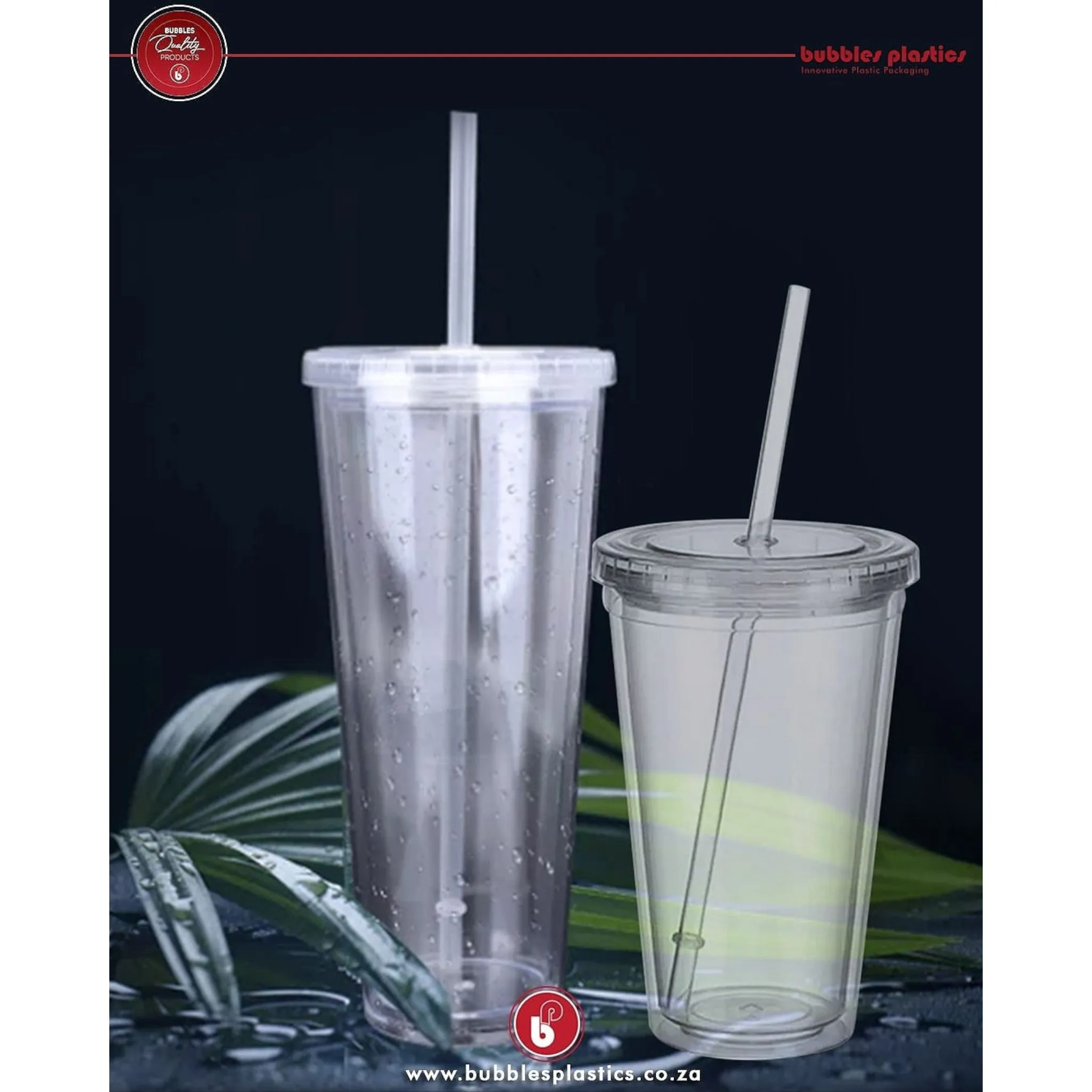 650ml Acrylic Tumbler Double Wall Insulated Cup with Straw