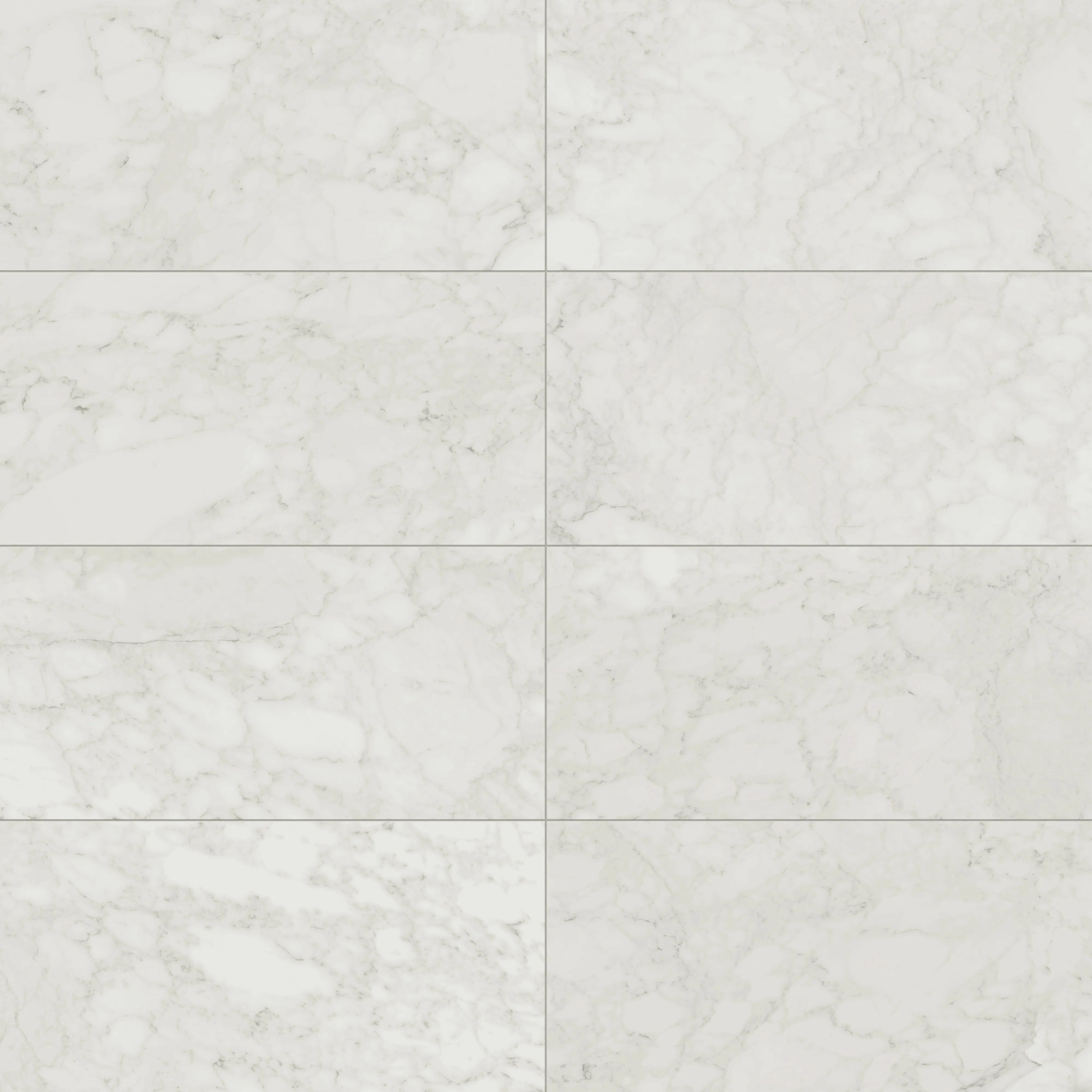 Aniston 24x48 Polished Porcelain Tile in Carrara Bianco