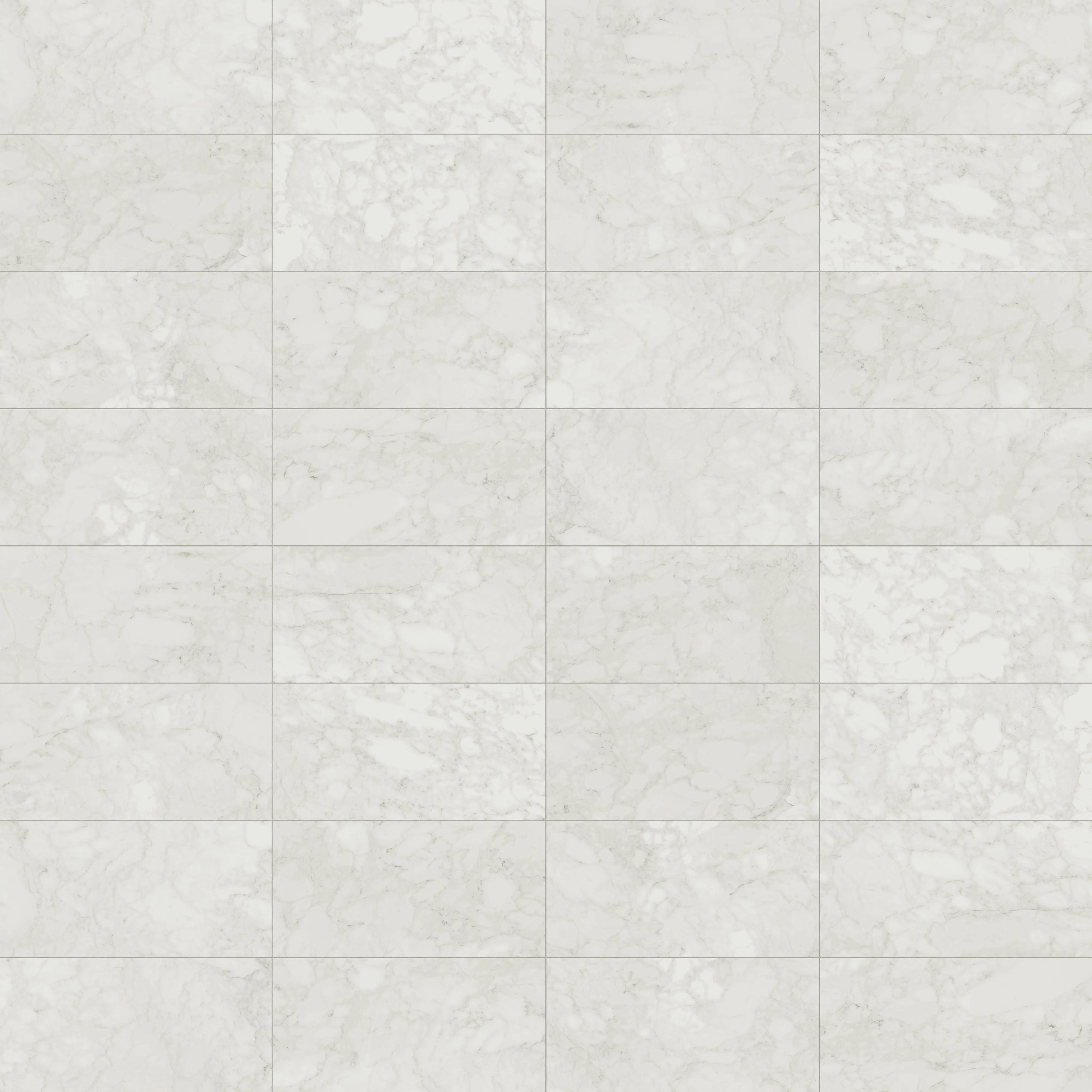 Aniston 24x48 Polished Porcelain Tile in Carrara Bianco