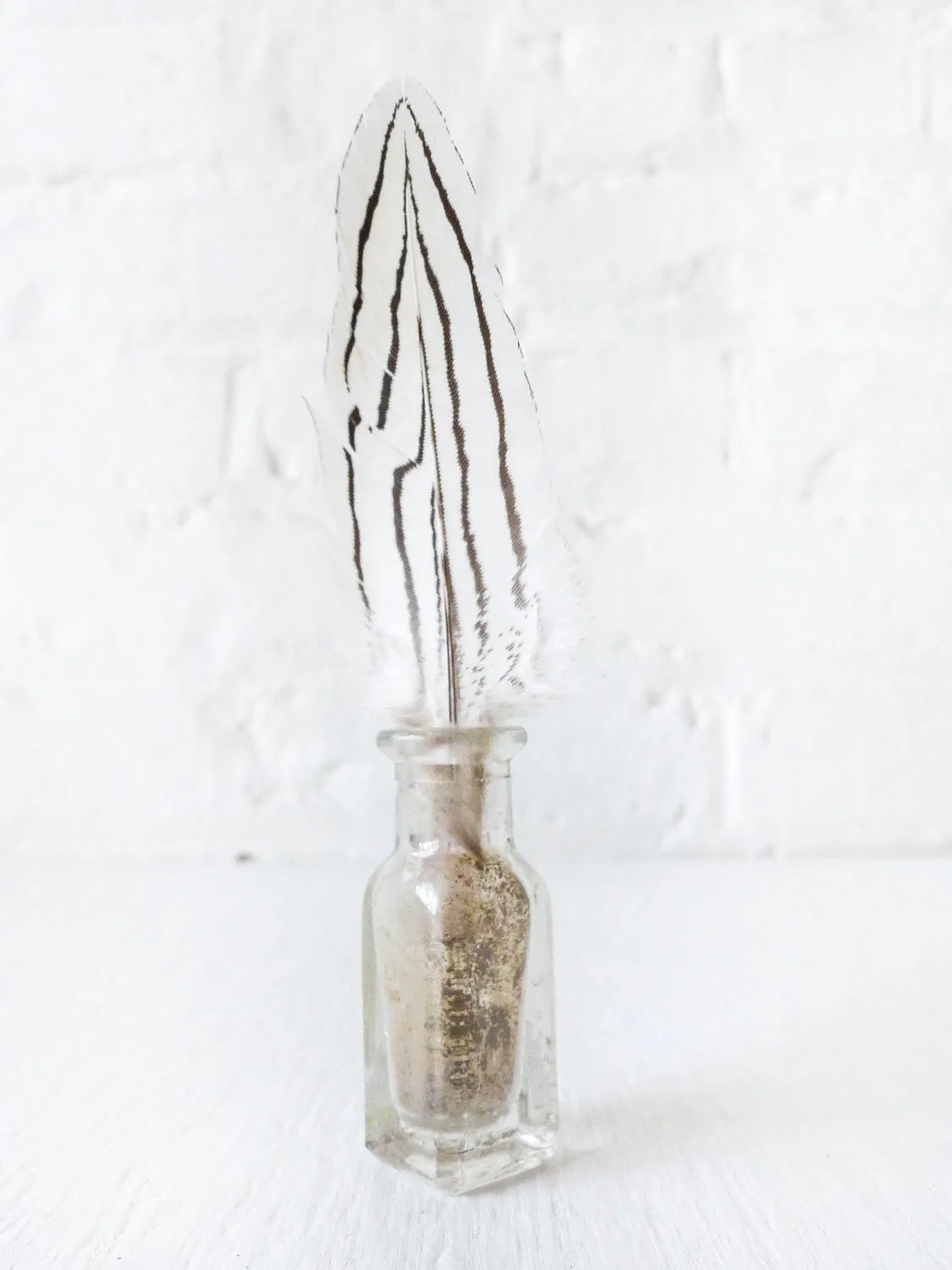 Antique Vintage Bottle Specimen Zebra Chicken Feather Mini Glass Vial Antique Ink Collection