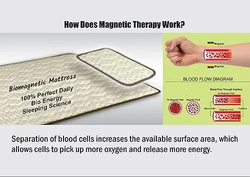 BIO Magnetic Mattress Protector with 1 Pillow (3X6 feet) Maroon