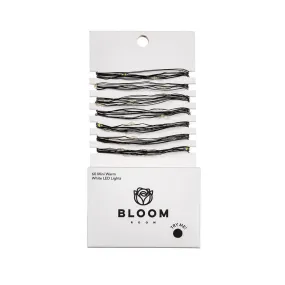 Bloom Room 60 ct LED Mini Black Wire with White Warm String Lights