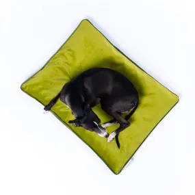 Dog Travel Pad in Velour Contrast