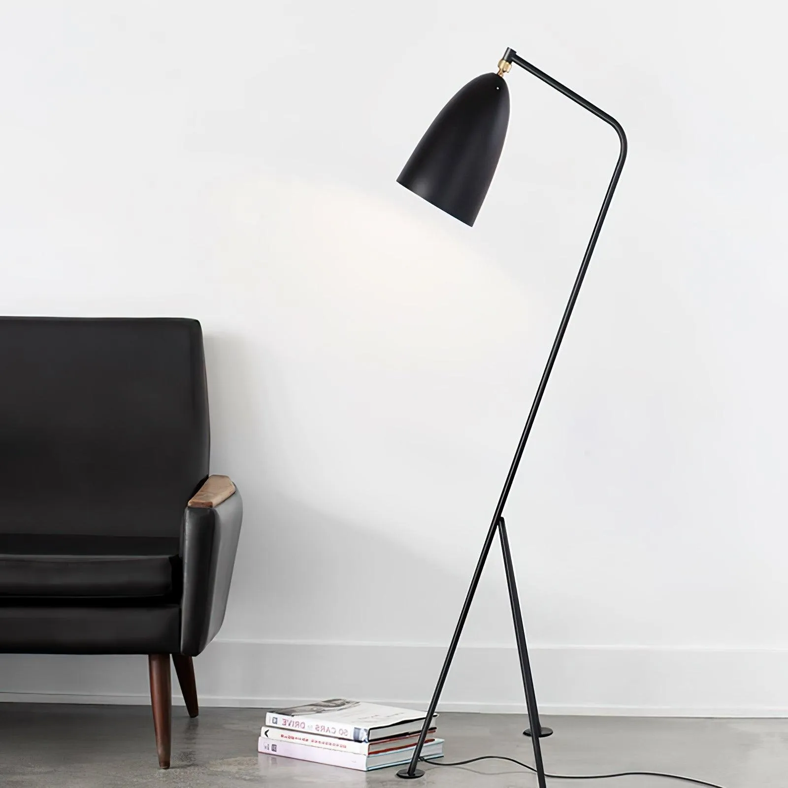 Grasshopper Floor Lamp