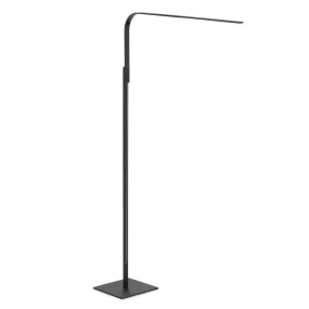 lim floor lamp | Pablo