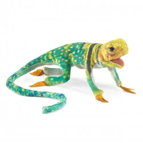 Mini Collared Lizard Puppet