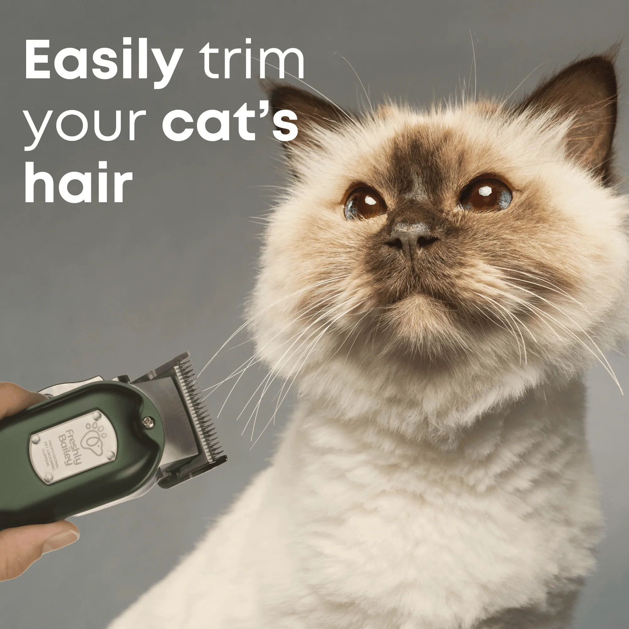 Pet Hair Clippers for Cats & Dogs