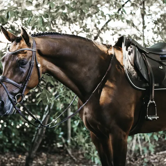 Saddle Pad Color Edition