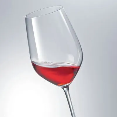 Schott Zwiesel Vina Red & White Wine Glass / Water Goblets - Set of 6